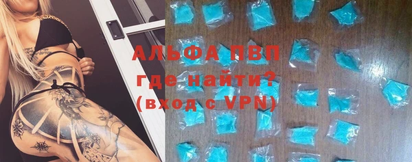 ГАЛЛЮЦИНОГЕННЫЕ ГРИБЫ Надым