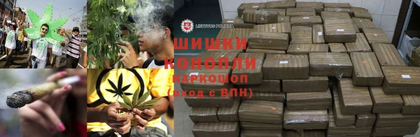 ГАЛЛЮЦИНОГЕННЫЕ ГРИБЫ Надым