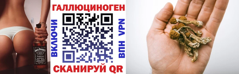 блэк спрут зеркало  сколько стоит  Лодейное Поле  Галлюциногенные грибы прущие грибы 