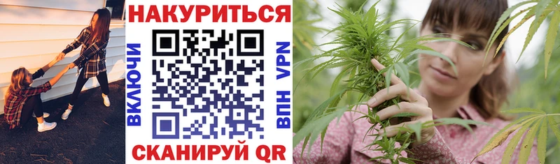 Каннабис план  Лодейное Поле 